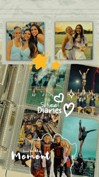 School Diaries