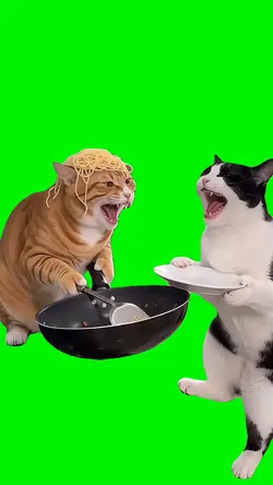 Cooking Cats