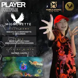 player profile