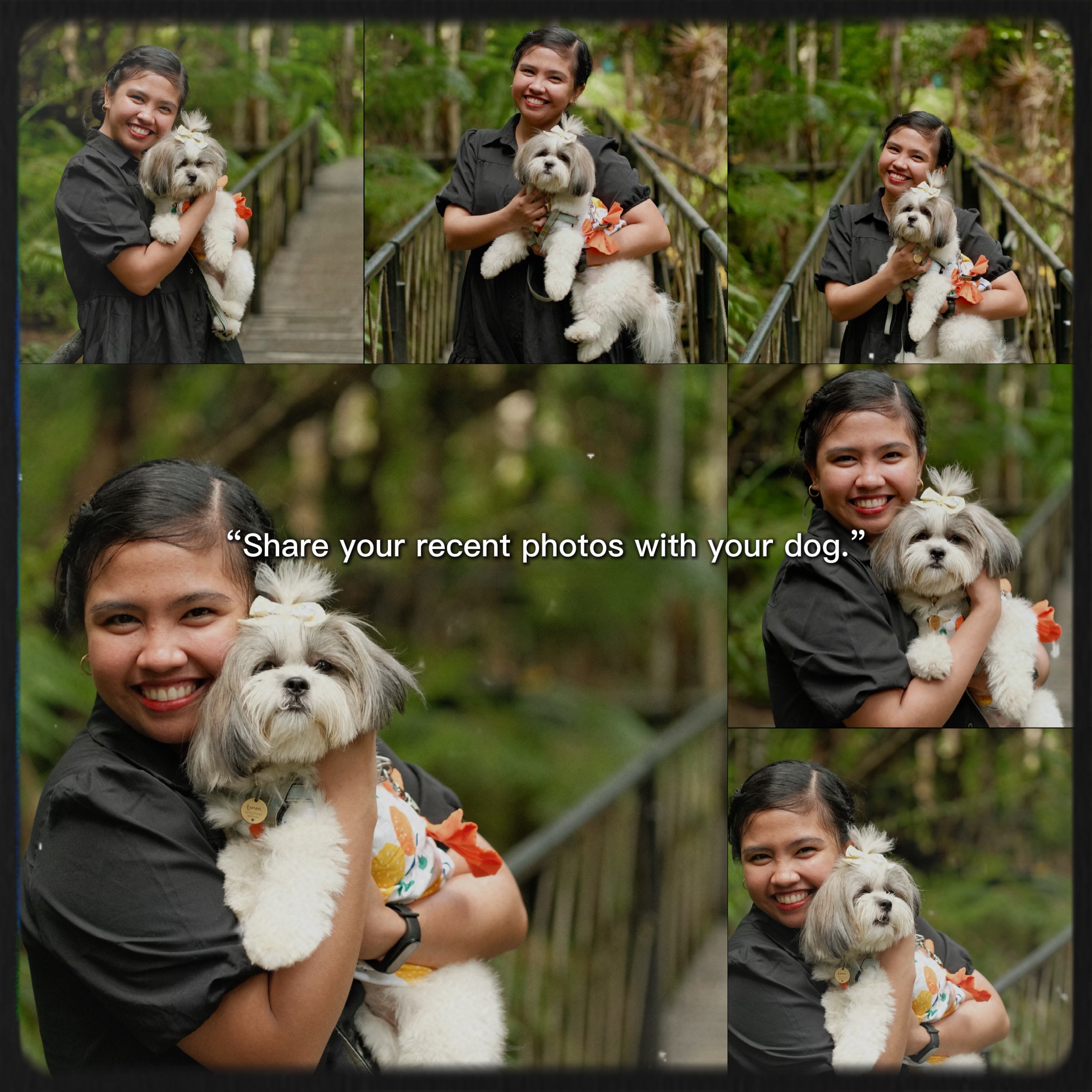 Köpeğinizle Fotoğraflar