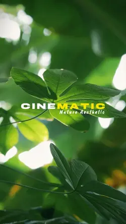 Cinematic 7 klip Nat