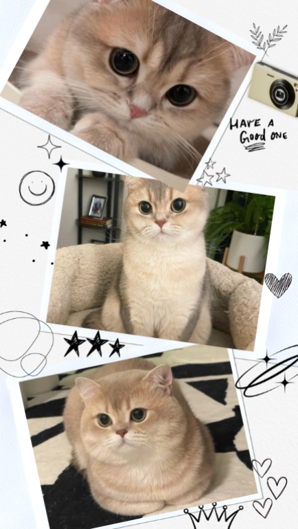 3 fotos para usar