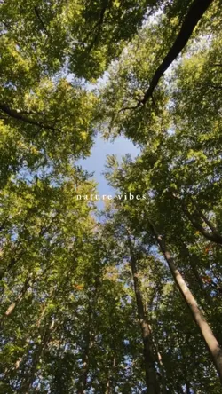 nature vibes