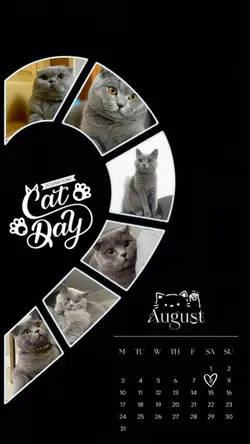 happy cat day