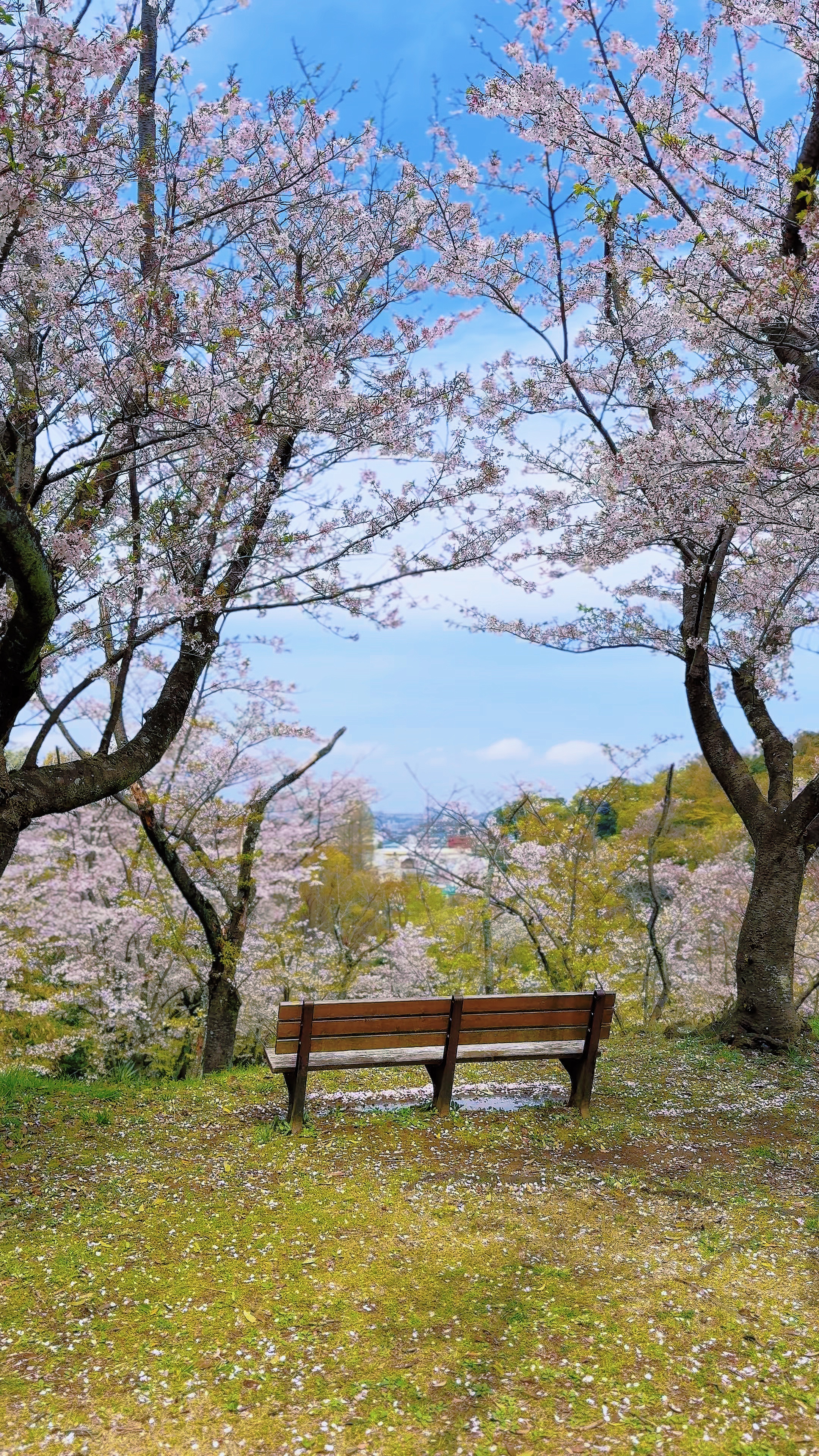 A Silent Moment