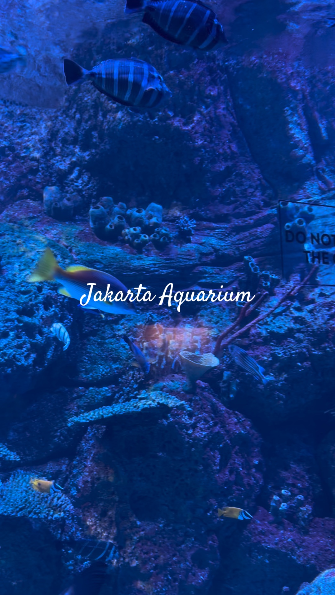 Jakarta Aquarium