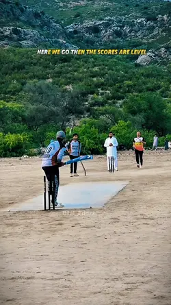 Cricket Best Finish