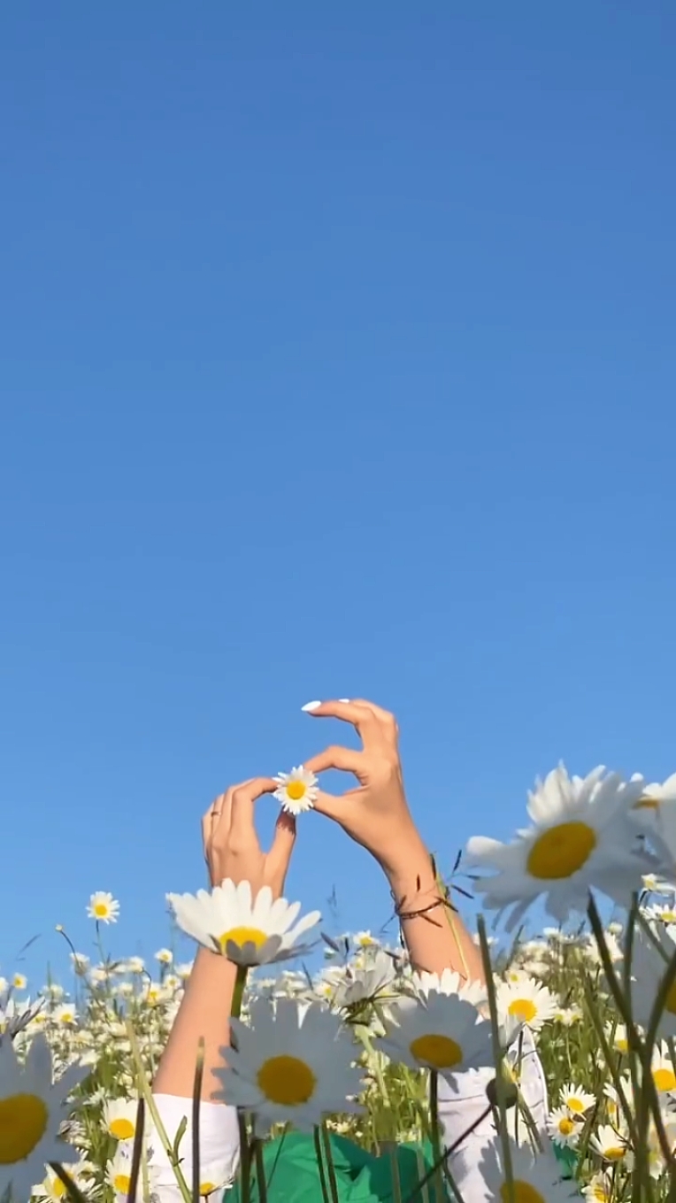 4 video