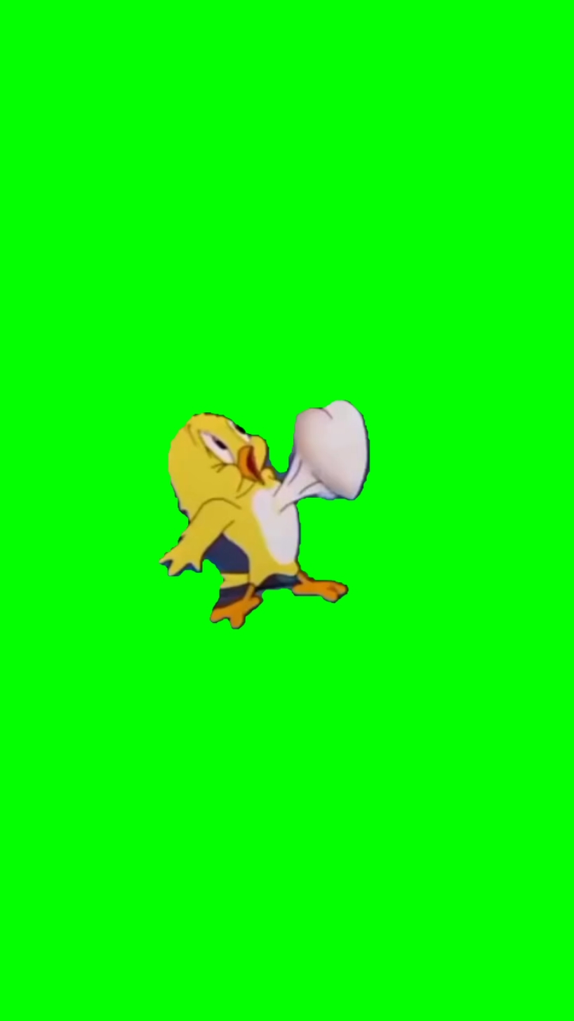 funny duck meme