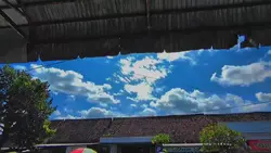 Aesthetic