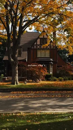Autumn Vibe's