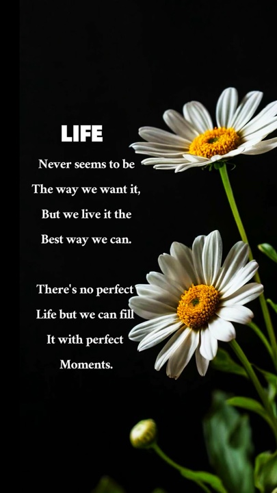 Life