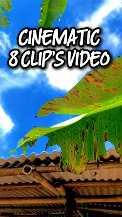 8 Video Cinematic