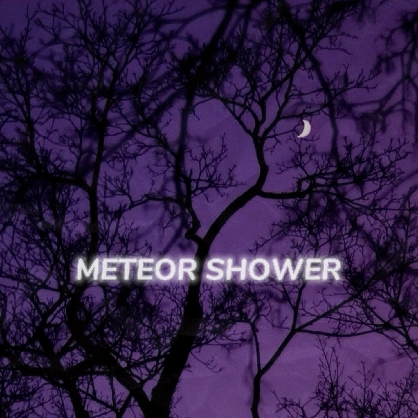 Meteoritenschauer