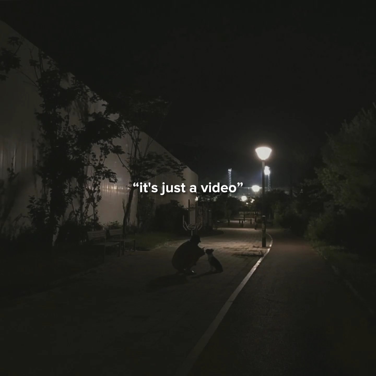 c'est juste une vidéo..