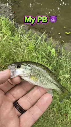 My Pb 😈