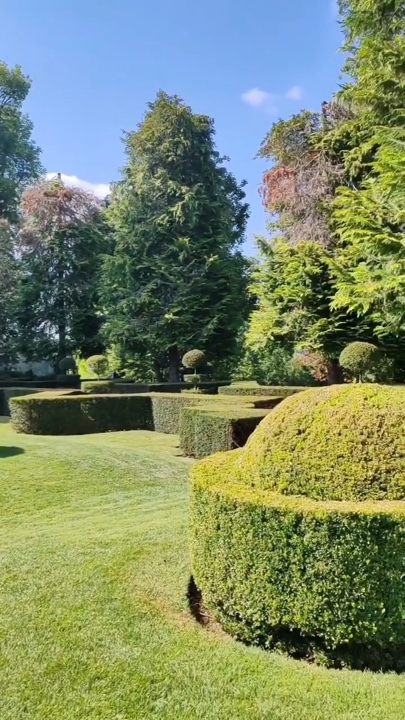 Berkebun
