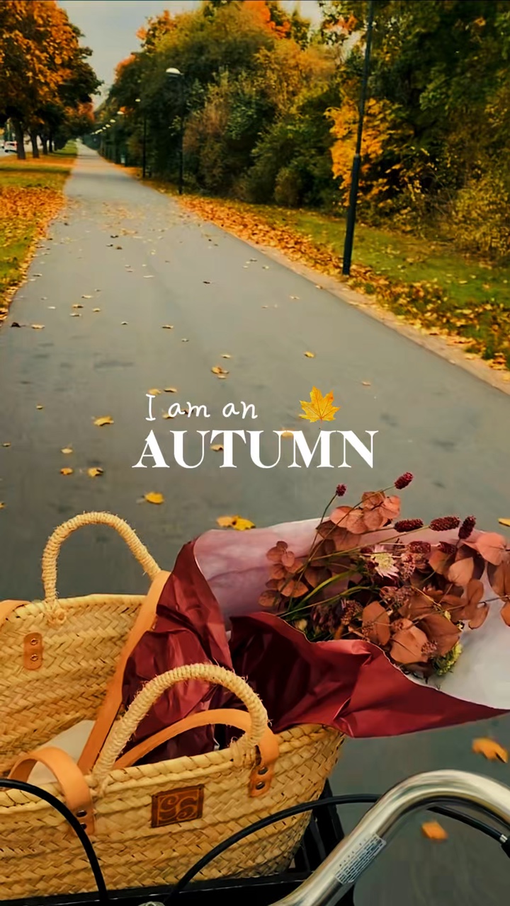 Autumn Aesthetic 🍂
