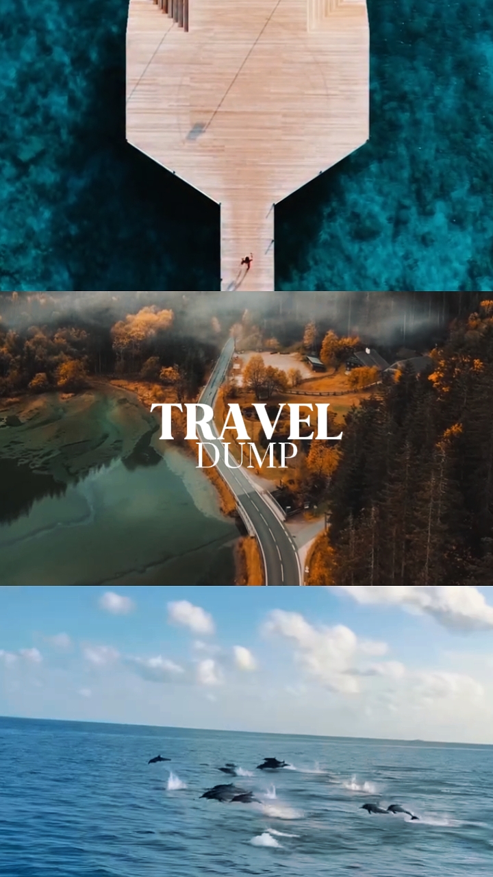 Travel dump