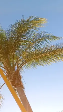 Lo extraño.