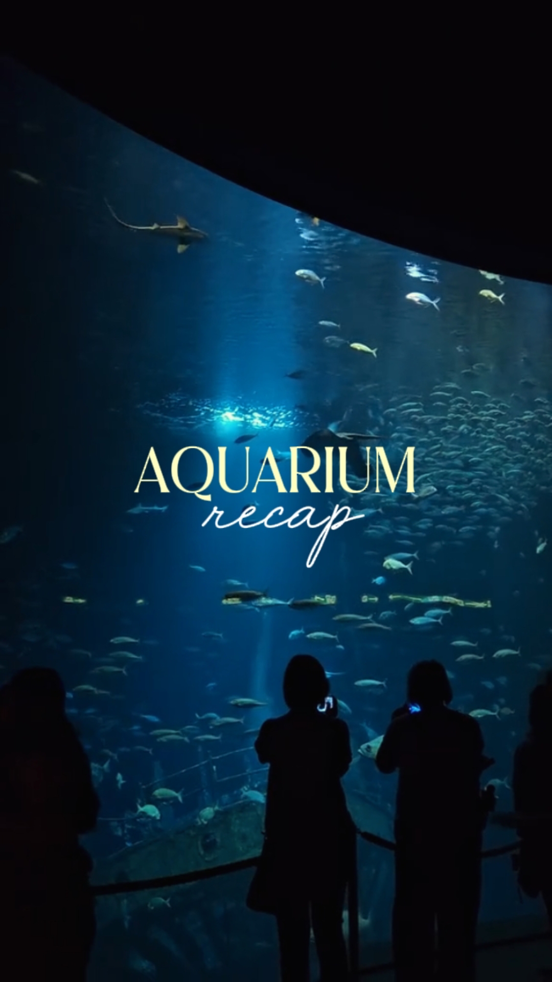aquarium recap