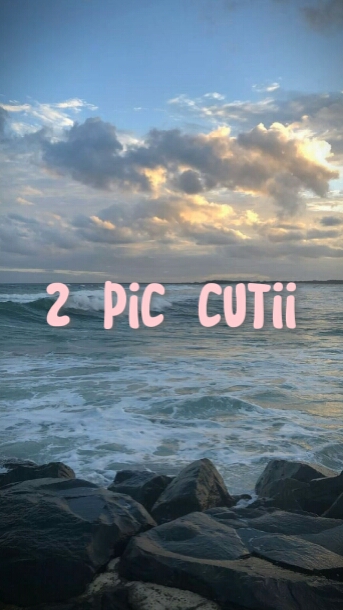 2 pic cutii