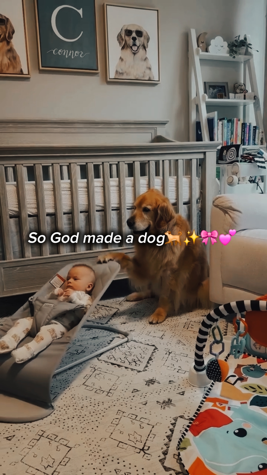 so god made a dog