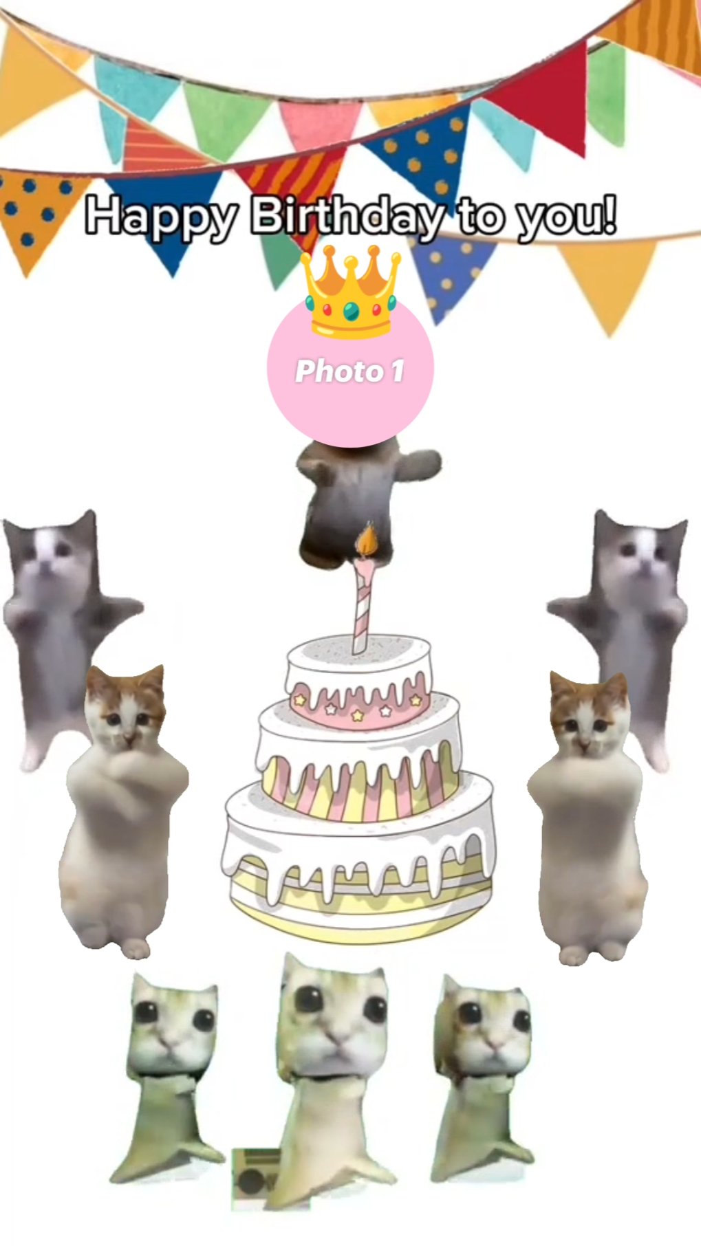 HAPPY BIRTHDAY !!!