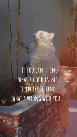 if you can't findβ