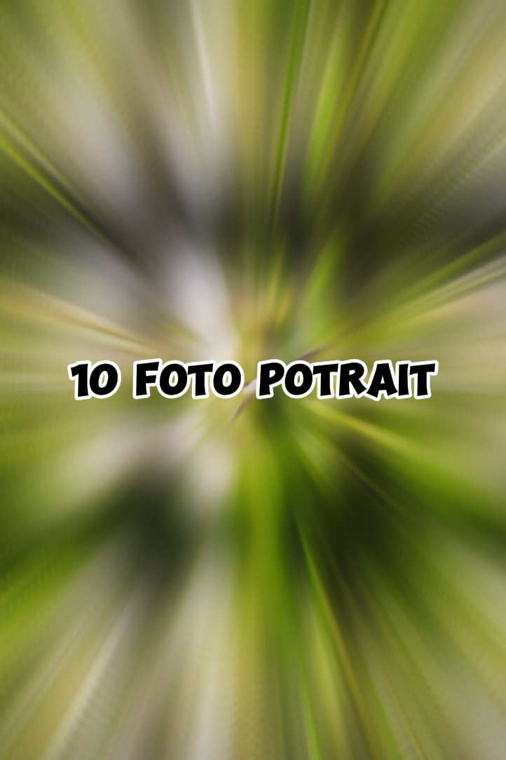 10 foto potre