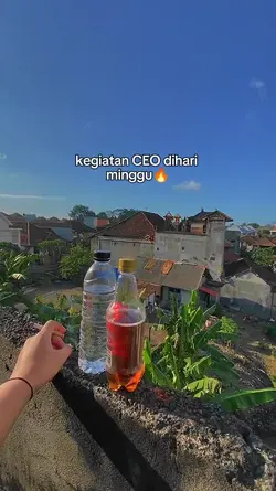 Kegiatan CEO dihari