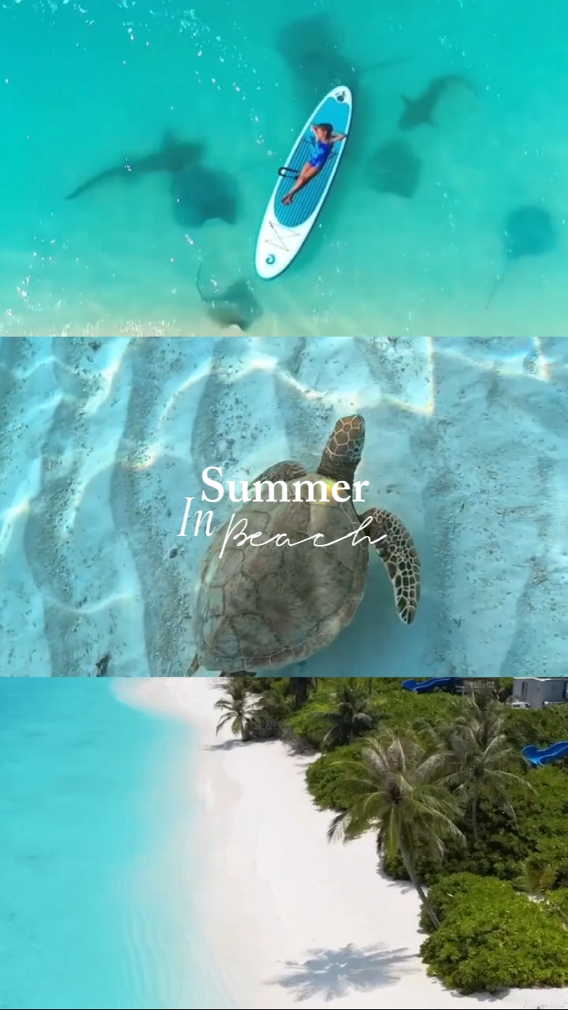 Summer in beach