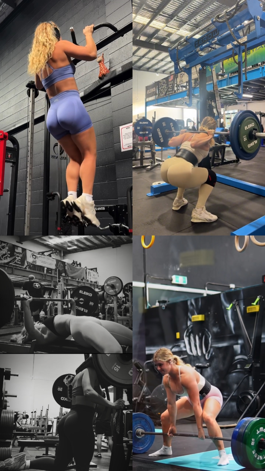 Gym | 5 video