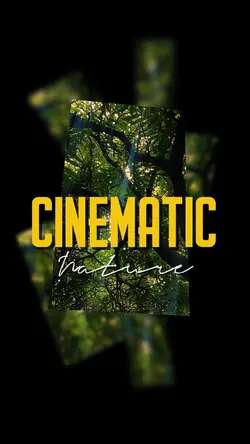 CINEMATIC 