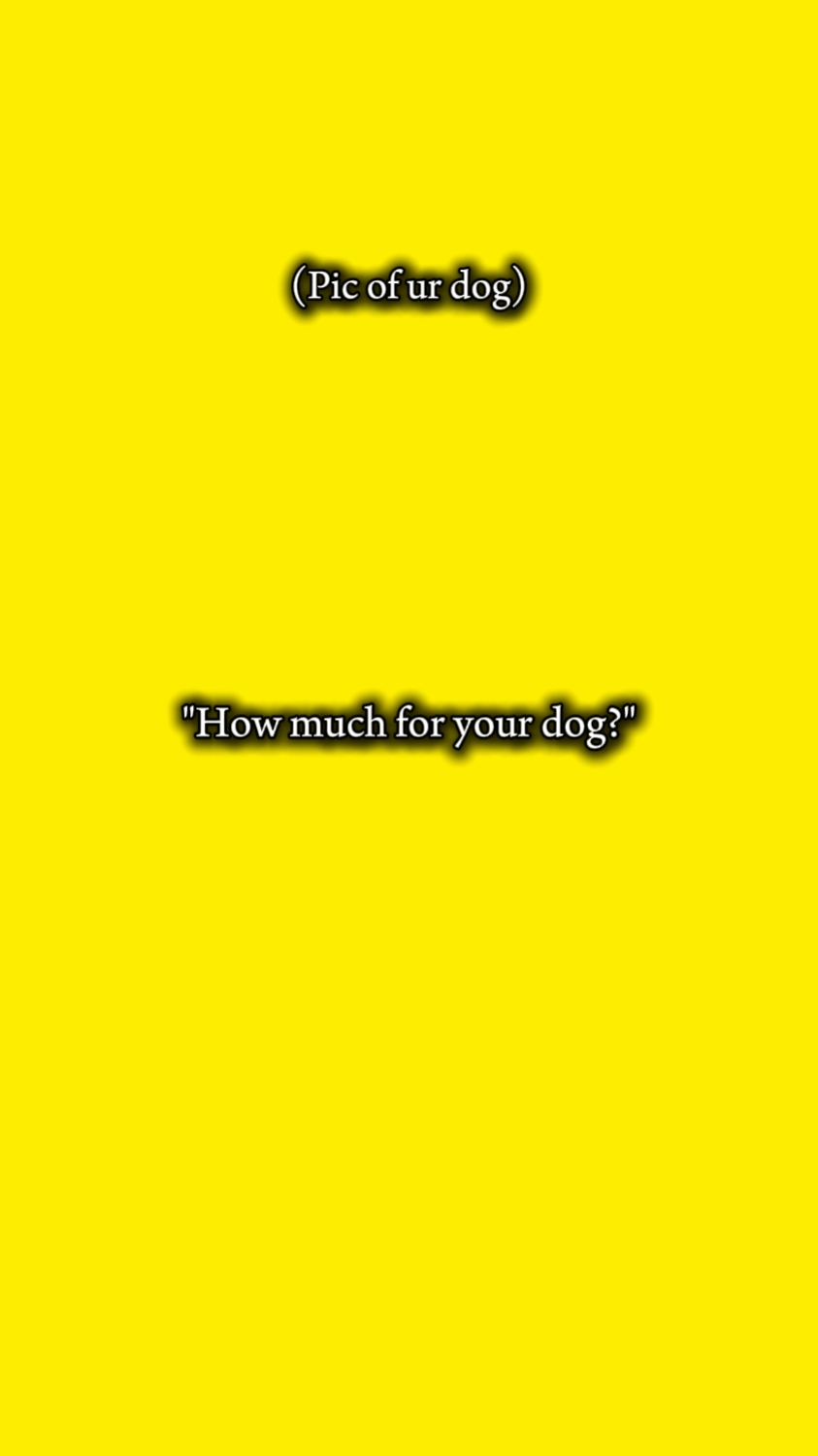dog