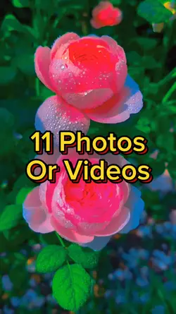 11 Photo Slides
