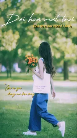 Đồi hoa mặt trời