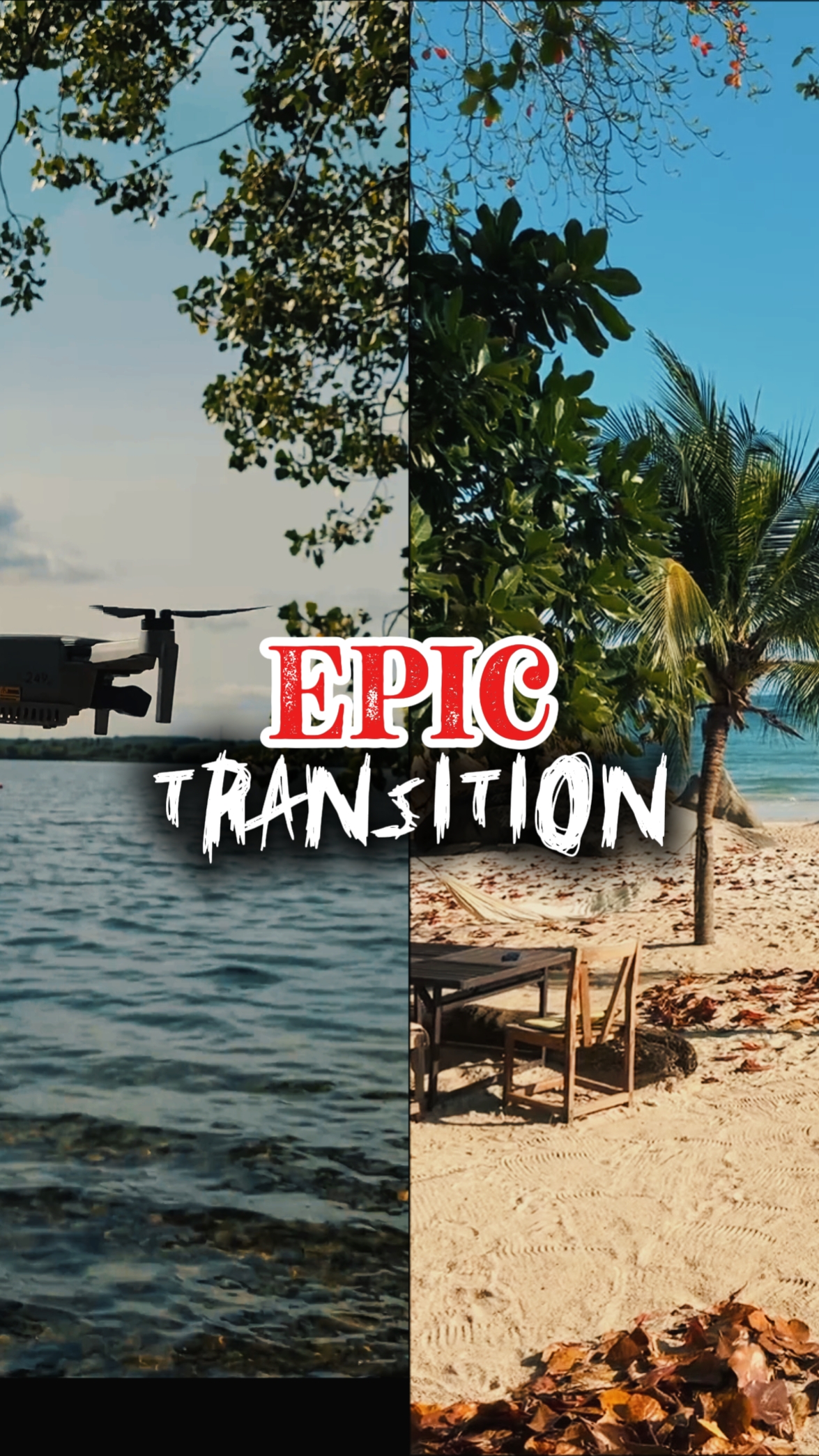 Transición épica