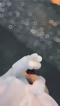 Slow + Motion β€οΈπ¦