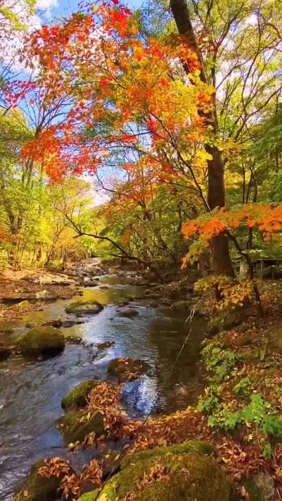 Beautiful Nature 