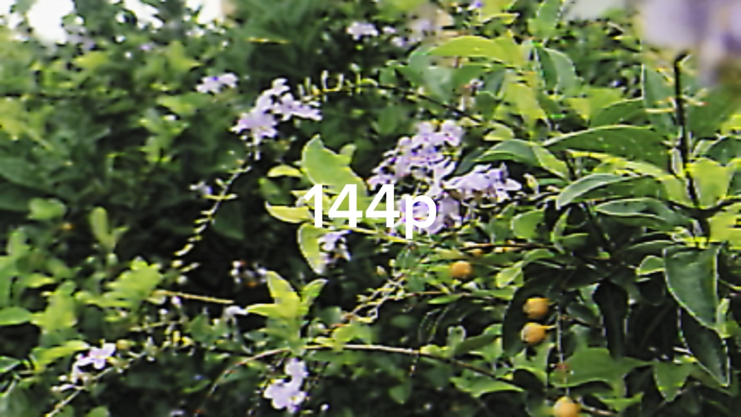 144p to 4k