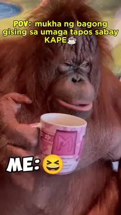 top 2 funny memes