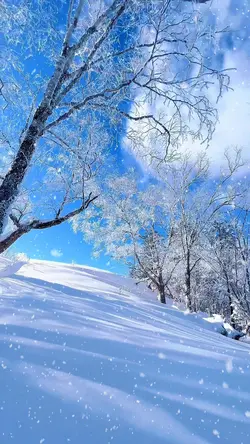 Snow Trend