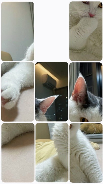 퍼즐 사진