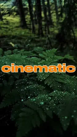 cinematic 5 video