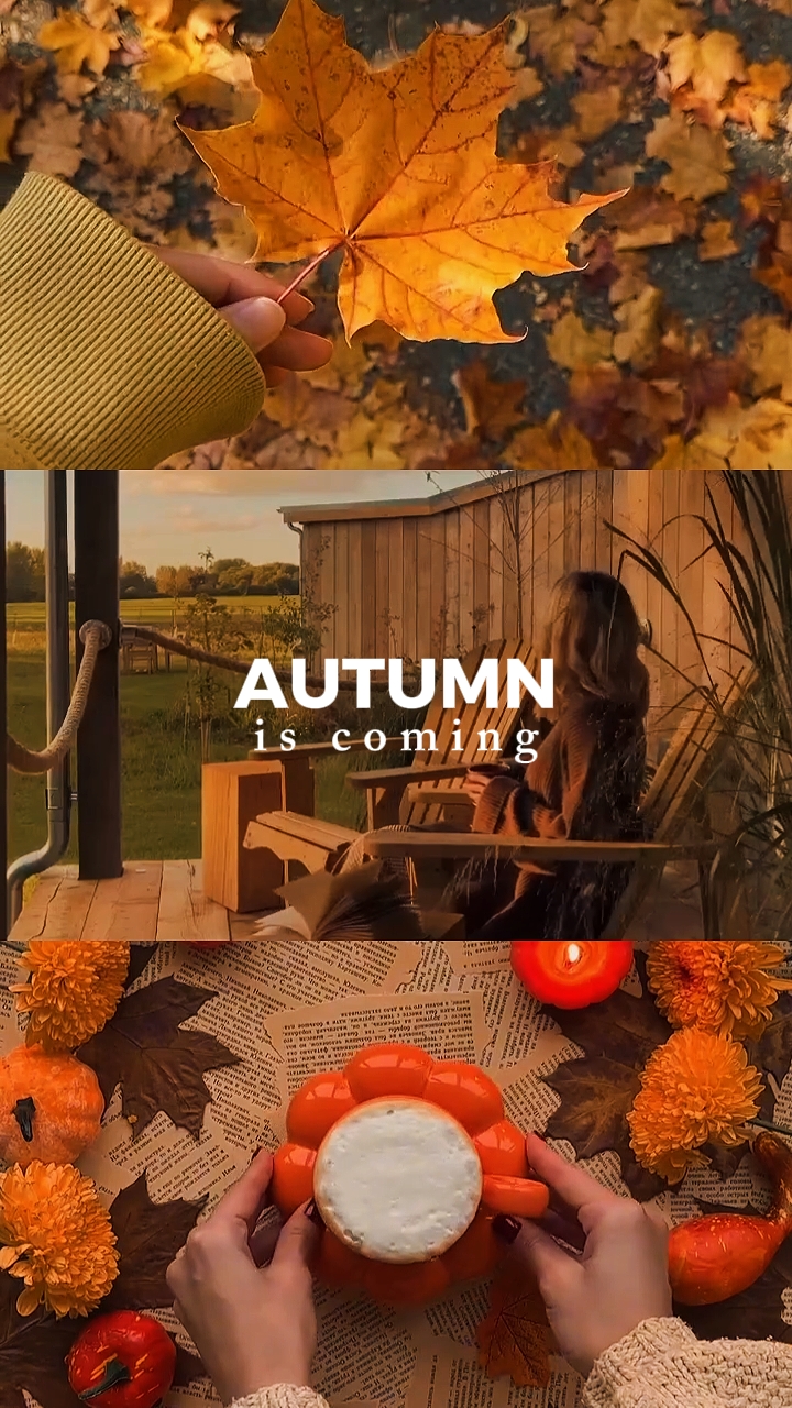 autumn is coming