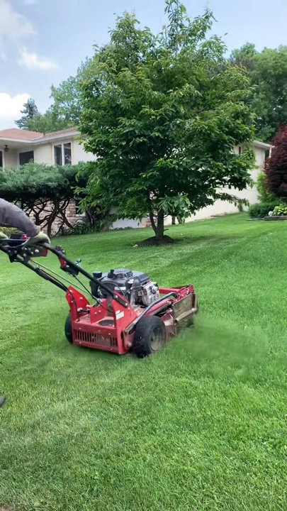 Berkebun