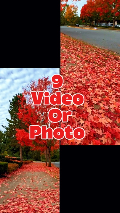 9 video veya fotoğraf 