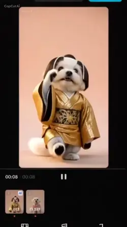 ティアラ💐