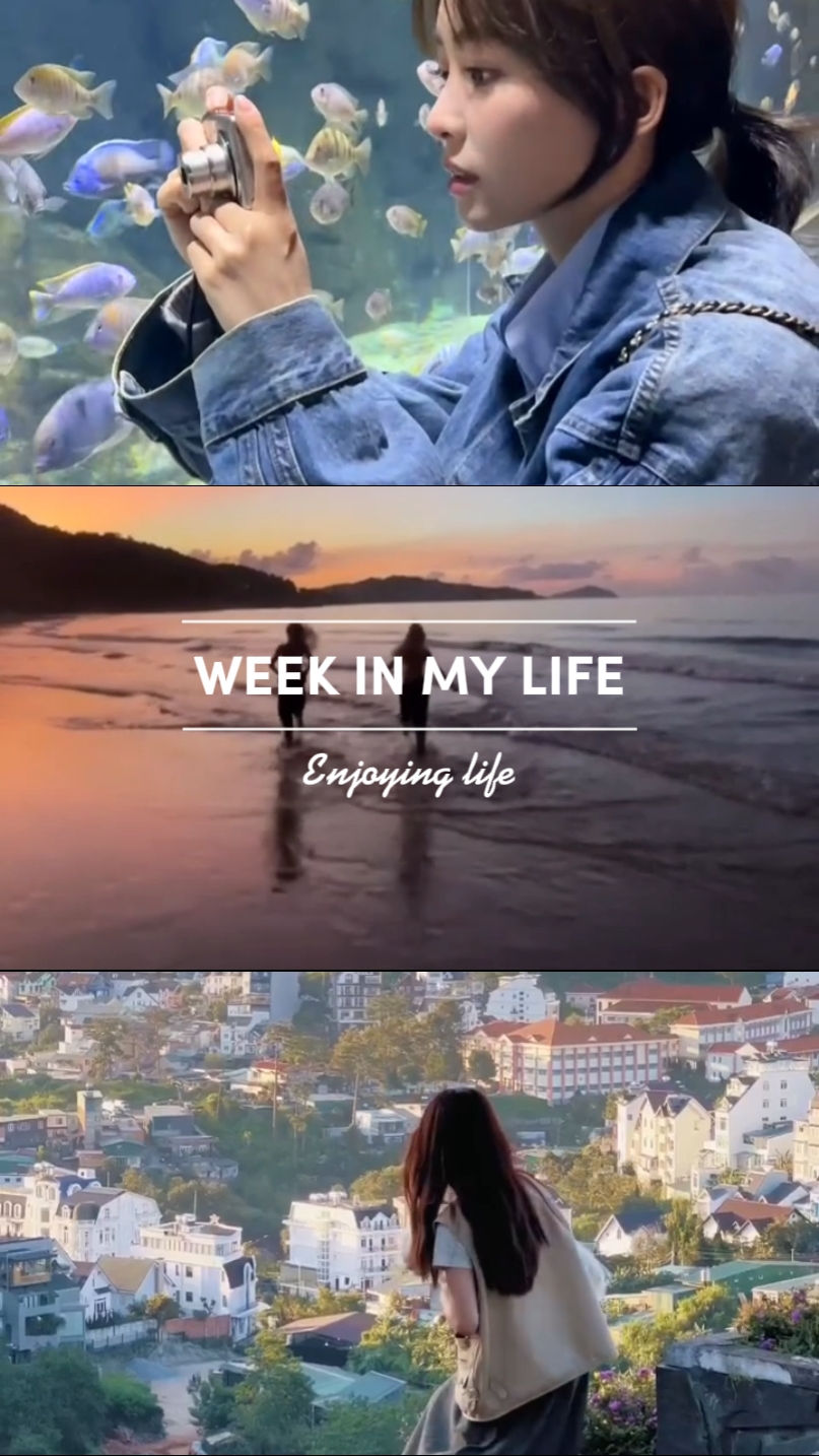Semana en mi vida